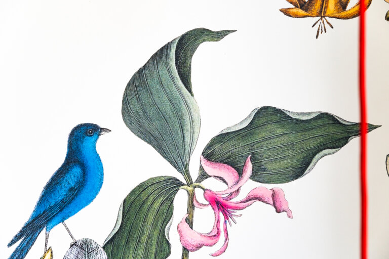 détail de papier peint avec oiseau bleu